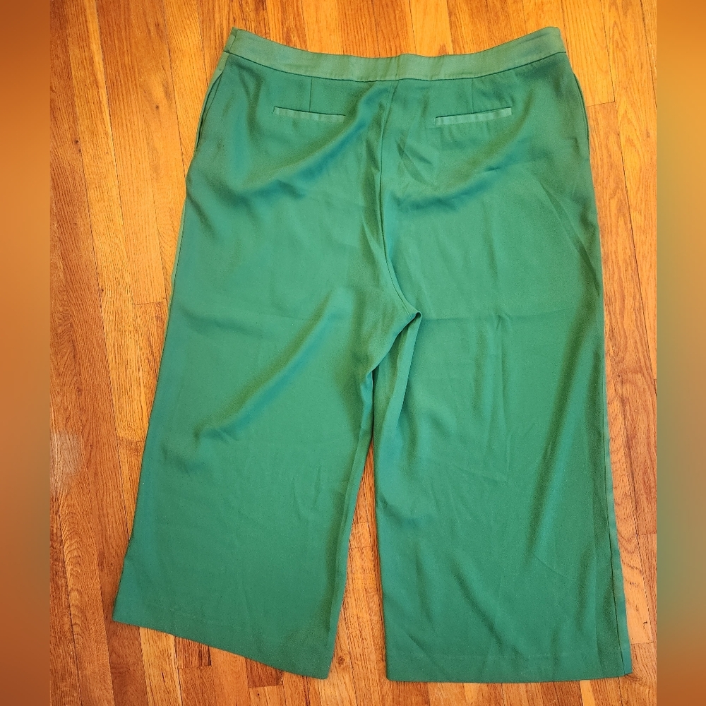 Boden Green Wide-Leg Tuxedo Pants // Sz 18L - Picture 2 of 12